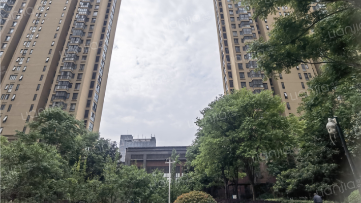 四季金辉外景图