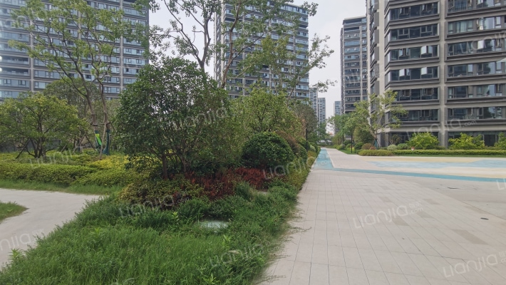 锦上悦华里外景图