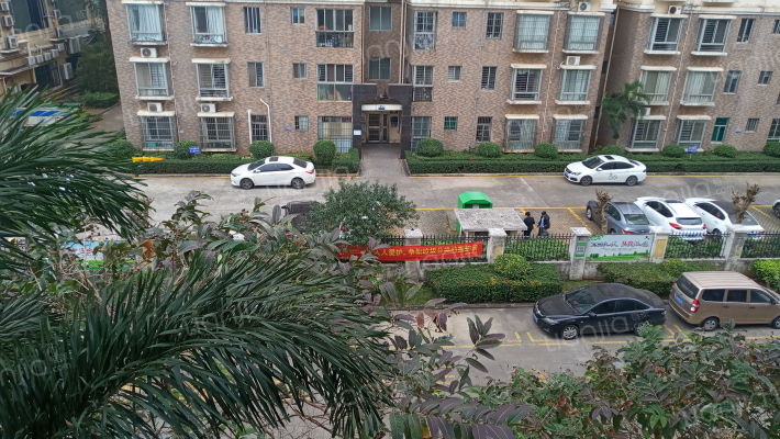 三叶铭豪外景图