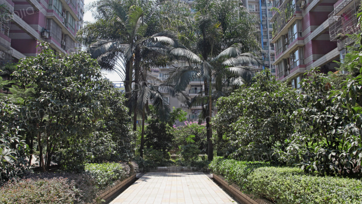 满堂红家苑外景图