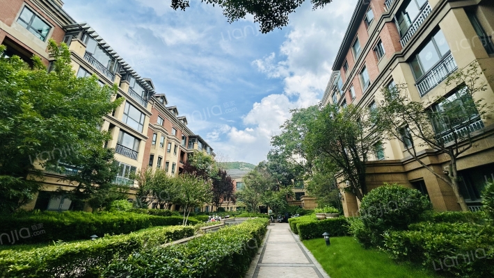 海尔绿城全运村桂花园北区外景图