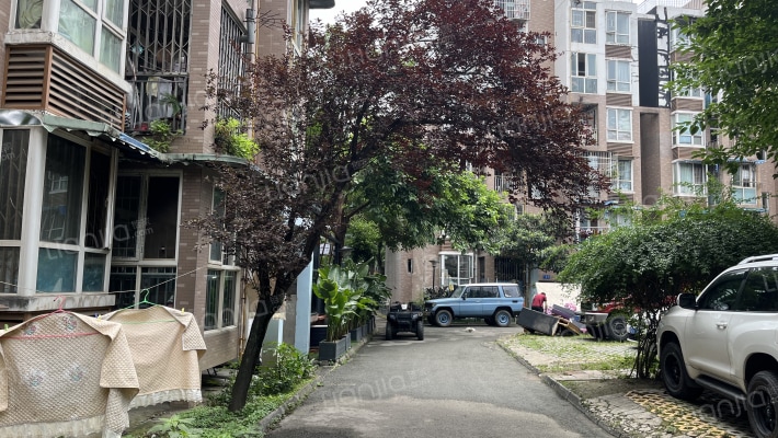 荆竹小区5号院外景图