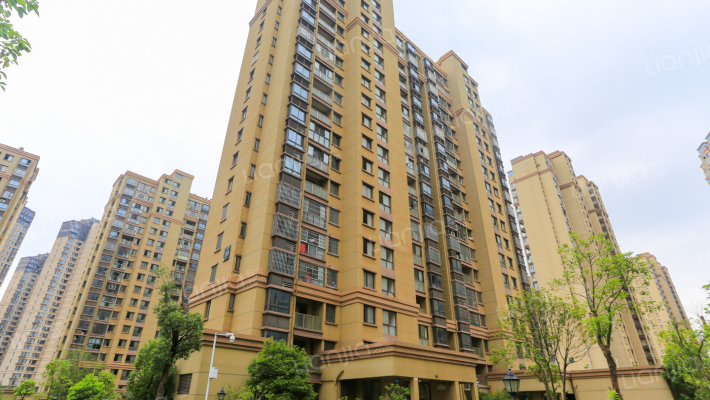 九龙明珠B区外景图