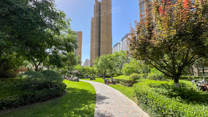 白桦林印象外景图