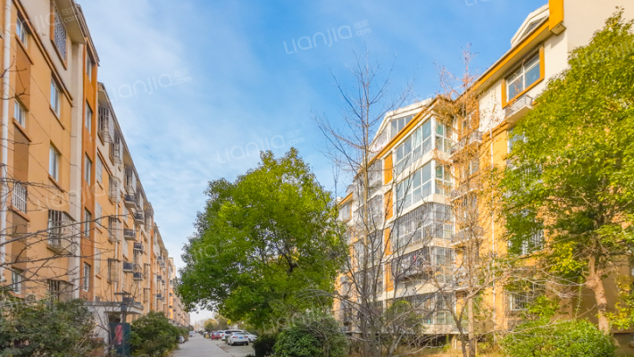 涟东新村外景图