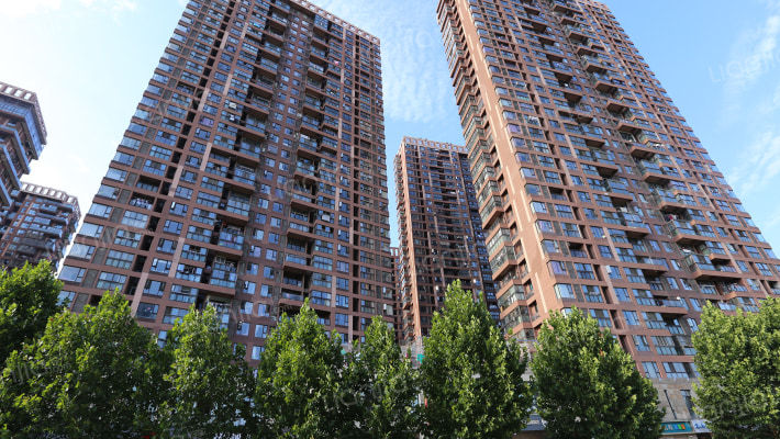 国耀花半里外景图