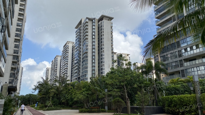 金地自在城蔷薇苑外景图