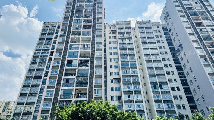 南方苹果派一期外景图