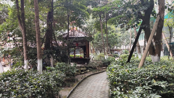 愿景上善之春外景图