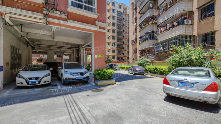 新兴花园外景图