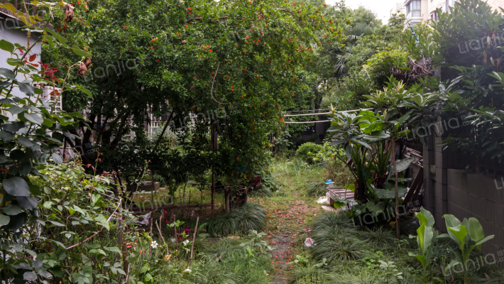 景凤路280弄外景图