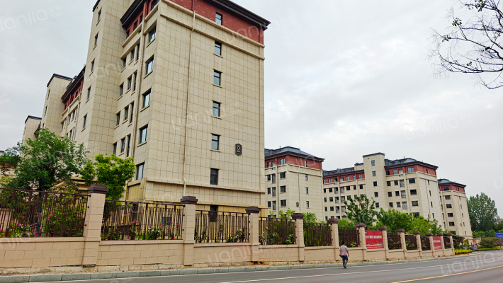 泰山亲和源外景图