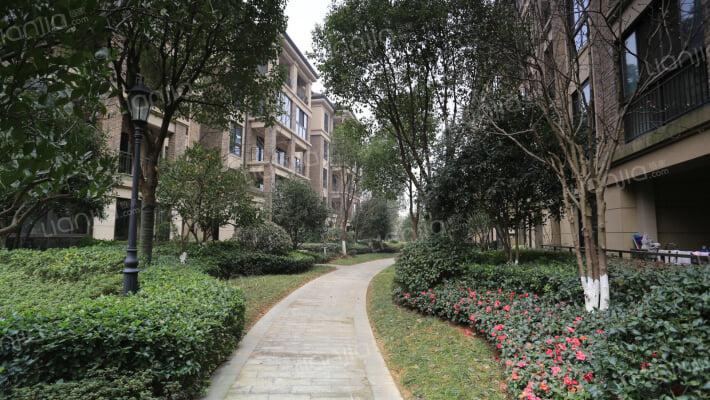 良渚文化村柳映坊二期外景图