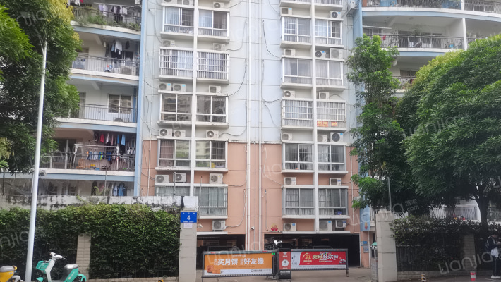 金花路4号外景图