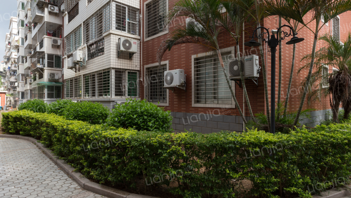 龙虎南里外景图