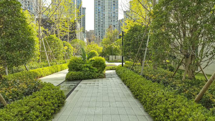 星海名筑外景图