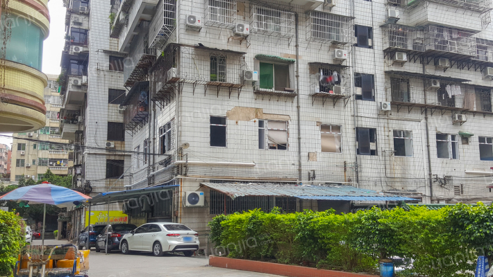 农业局宿舍外景图