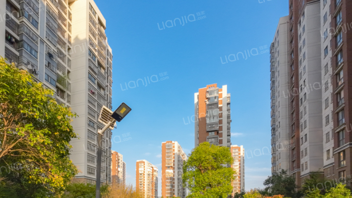 高张花园外景图