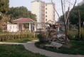 杨枝二村23