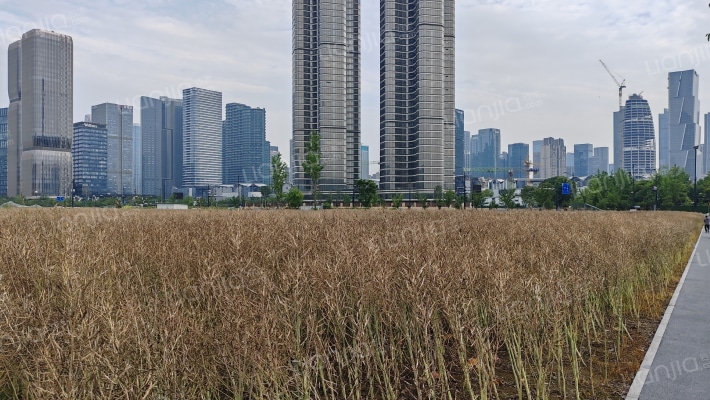 明华誉港城外景图