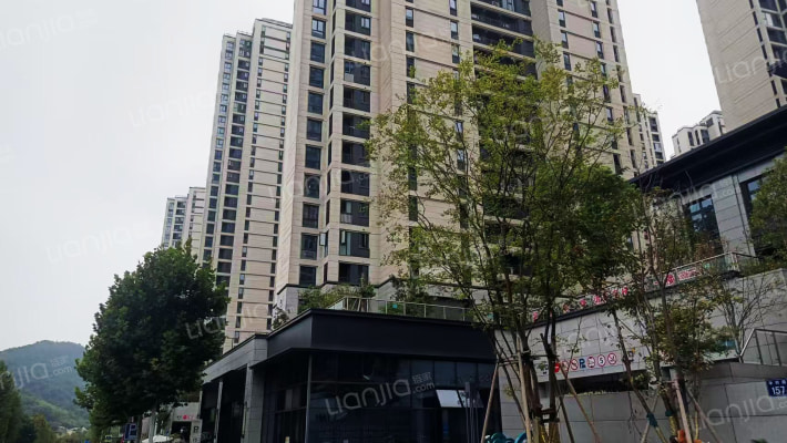 国瑞花漫里外景图