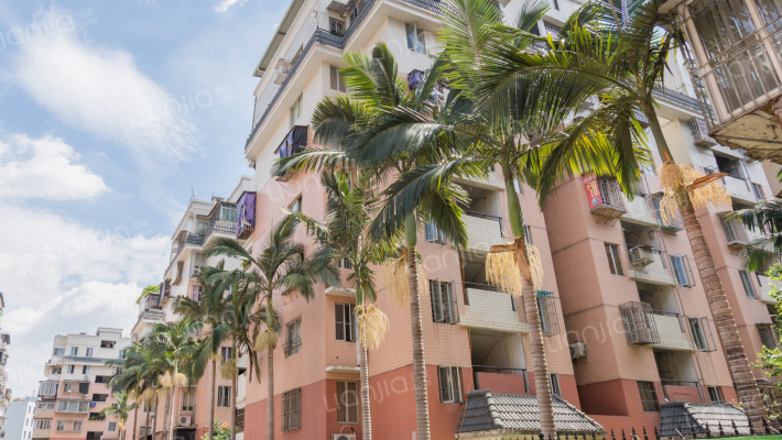 南台新苑茶花园外景图