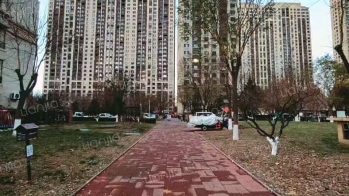 孔雀城大学里外景图