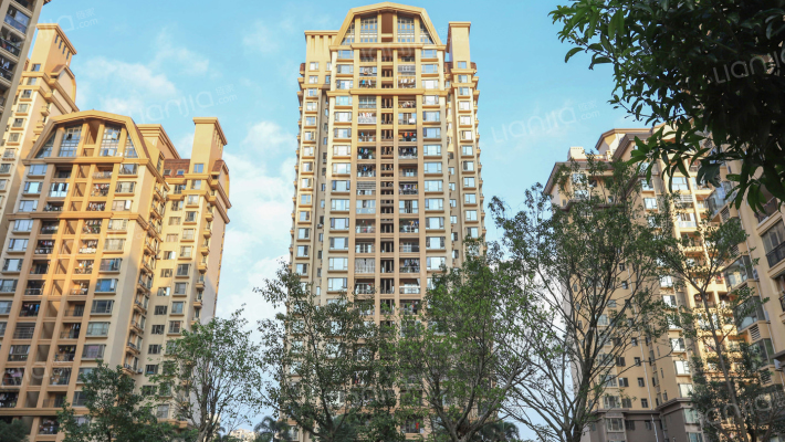 翡翠绿洲森林半岛外景图