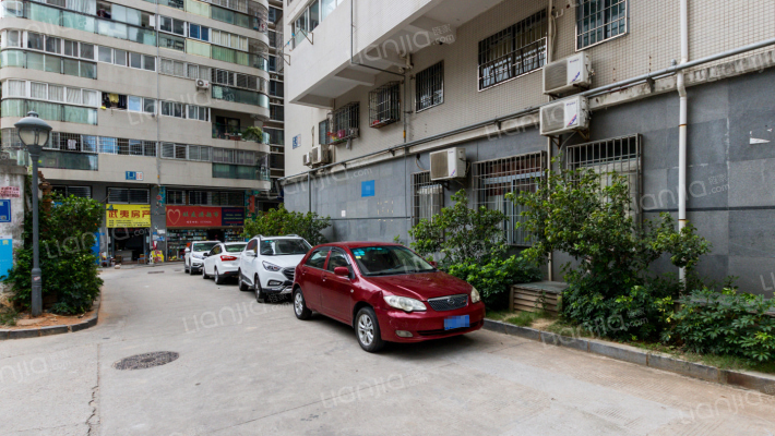 雪梨星光外景图