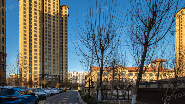 金泰丽舍外景图