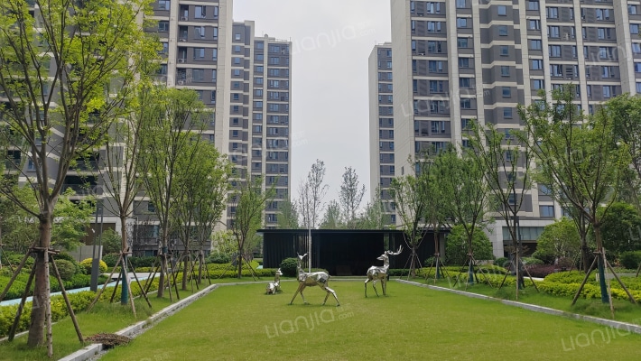 联投武汉城建花山印象外景图