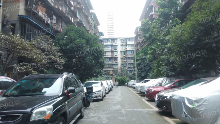 金沙巷16号外景图