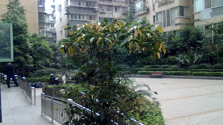 浆洗街5号外景图