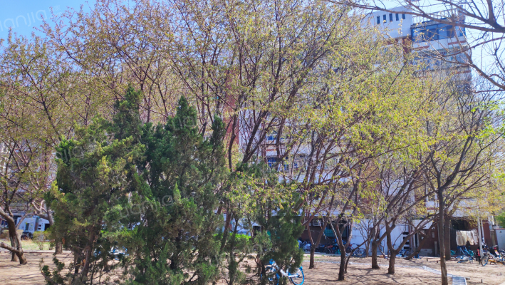 静安里(红桥区)外景图