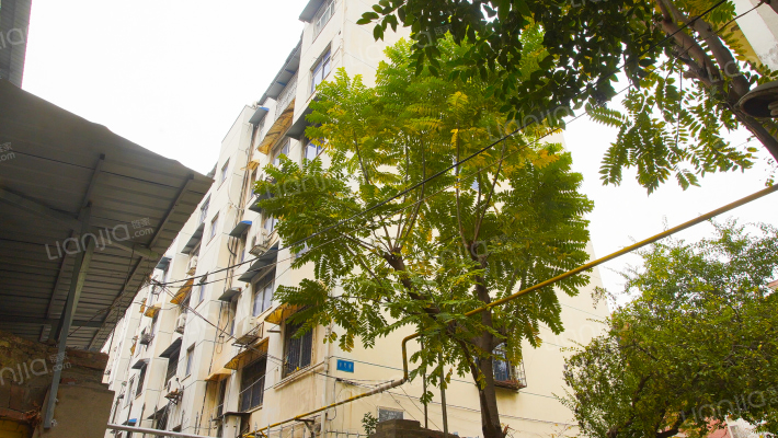 档案局家属院外景图