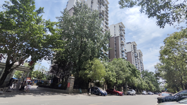 金阳美景外景图