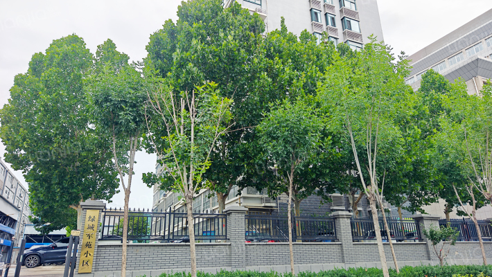 绿城军苑小区外景图