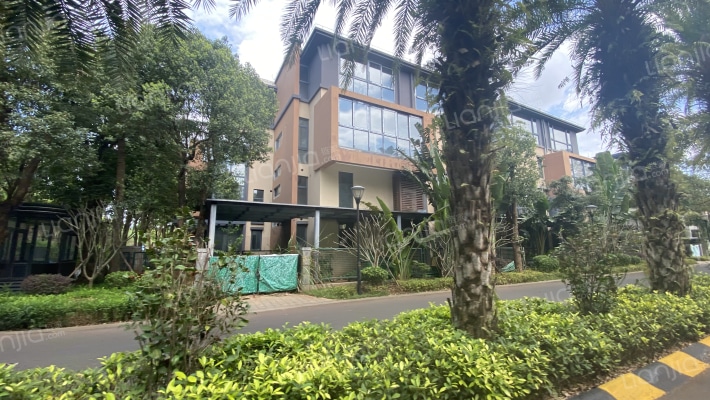 鸿洲江山外景图