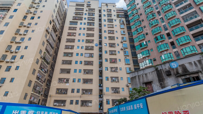 幸福·花园里外景图