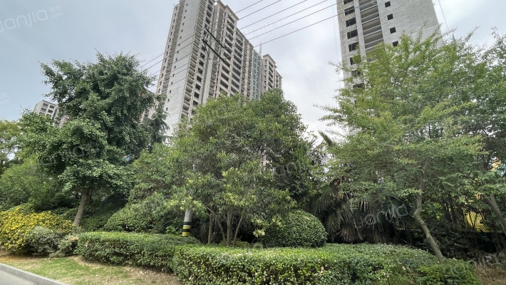 九巨龙·水景苑外景图