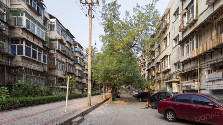 金星里北区外景图