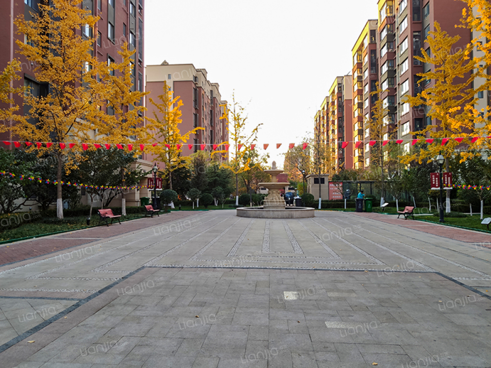 青岛万科玫瑰里小区 万科玫瑰里详细信息 二手房 租房 小区顾问 青岛链家