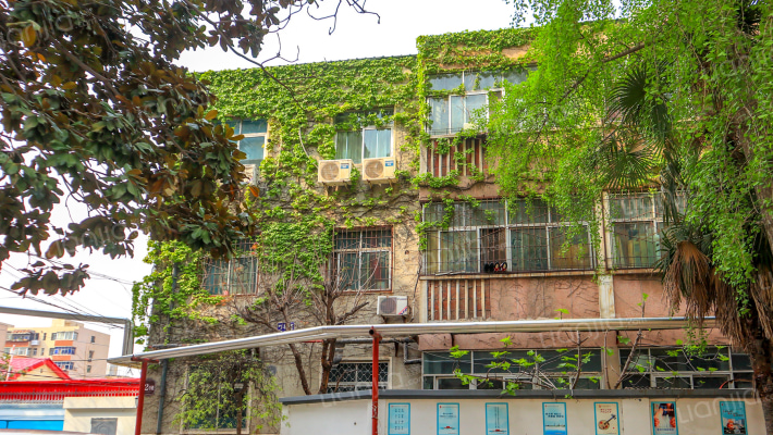 文化宫路101号外景图