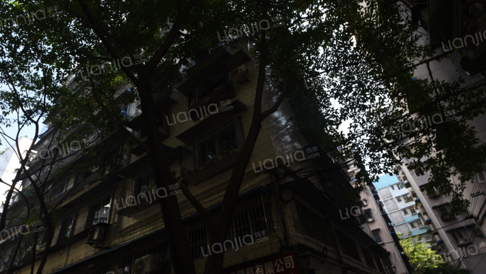 翠湖支路13到155号外景图