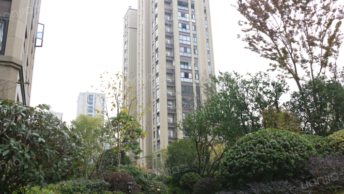 德信晓宸外景图