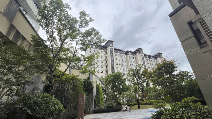 紫京熙院外景图