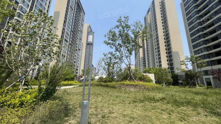 青岛碧桂园瑞源朗悦湾外景图