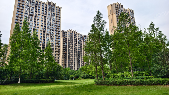 万科城棕榈苑外景图