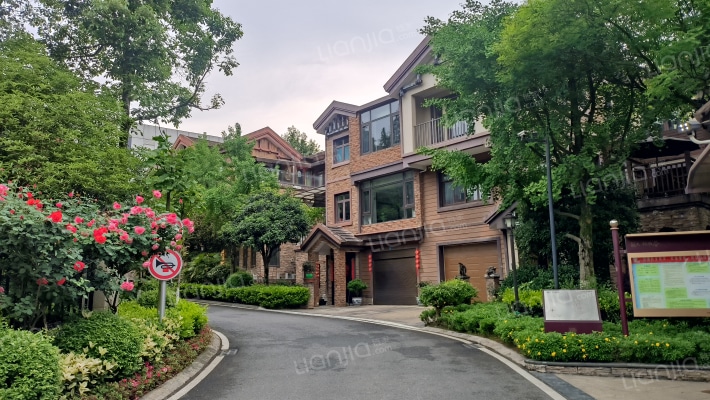 国光纳帕谷外景图