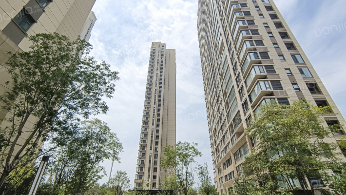 鑫苑名城三号院外景图